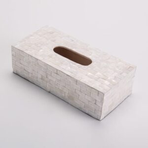 Caja De Pañuelos Desechables De Nacar