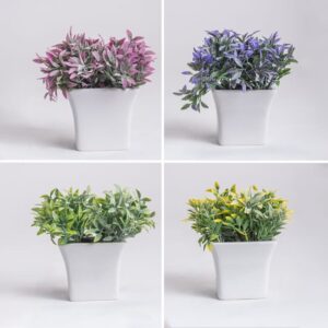 Plantas Ornamentales