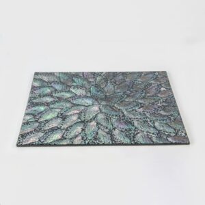 Individuales Color Tornasol