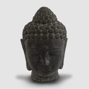 Cabeza De Buddha