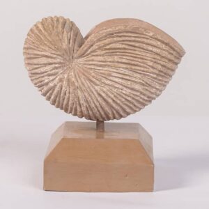 Decoración Caracol Pita