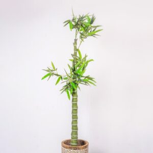 Flores Artificial Bambo Grueso